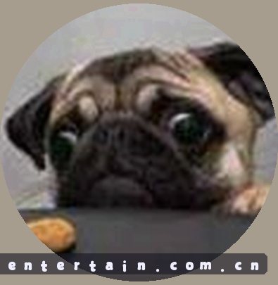 小陈